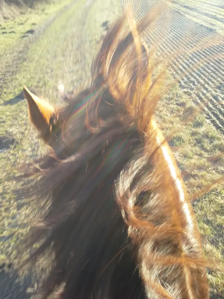 Condolence image of Annette und Luki