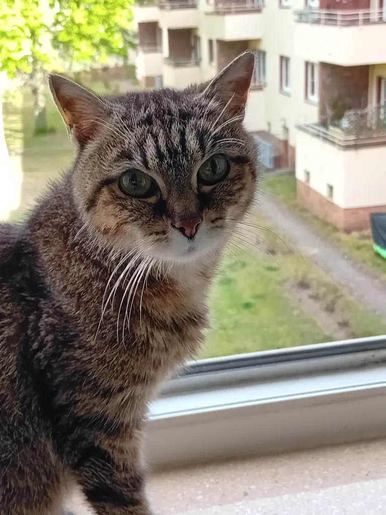 Image from Wassiljuscha