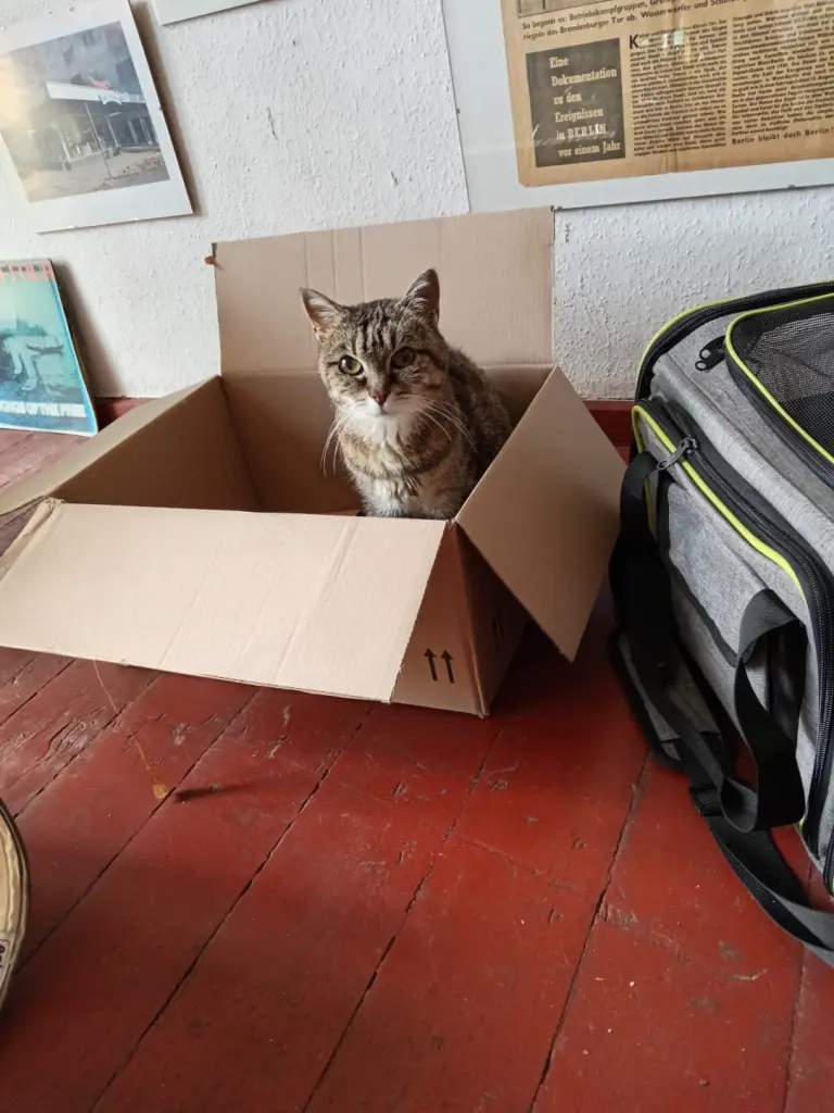 Image from Wassiljuscha