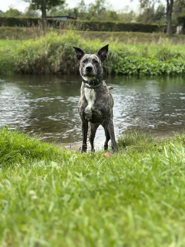 Wasser und Bällchen - das Schönste für Dich!