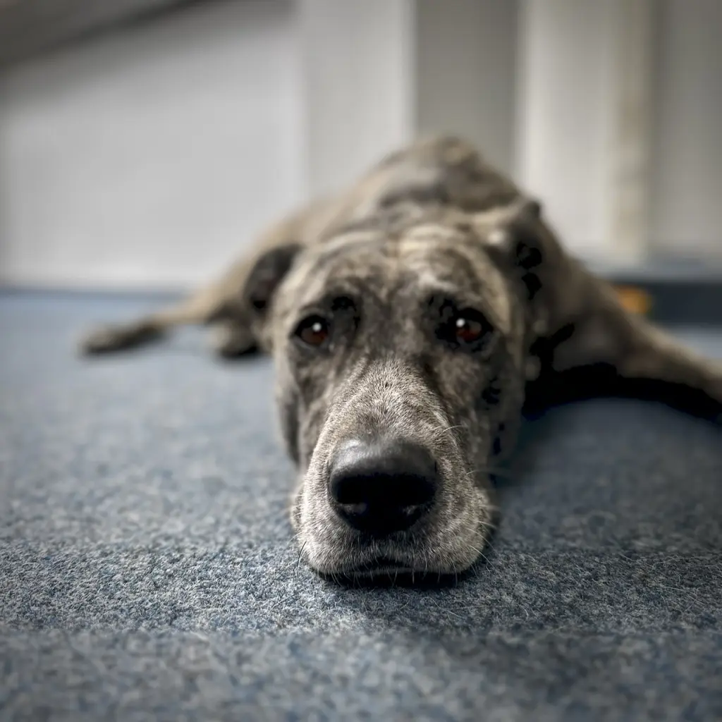 Du bist die eine Lieblingskollegin im Büro!