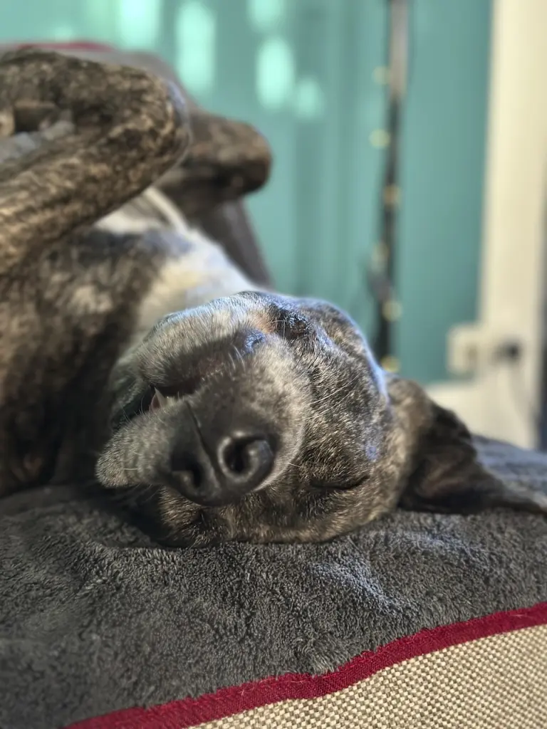 - jeden Tag Spaß im Regebogenland, das wünsche ich Dir von ganzem Herzen!