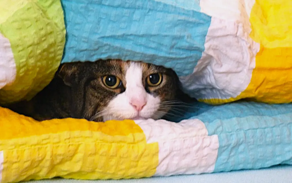 Ich liebe frisch bezogene Betten