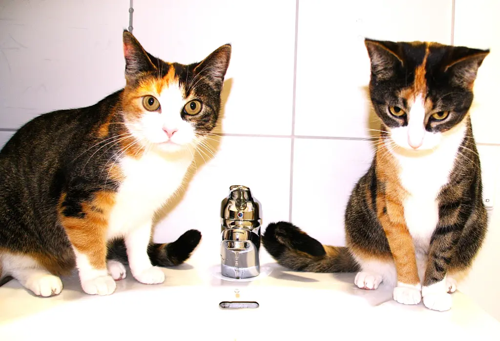 Meine Schwester Zoey und ich. Da sind wir gerade eingezogen