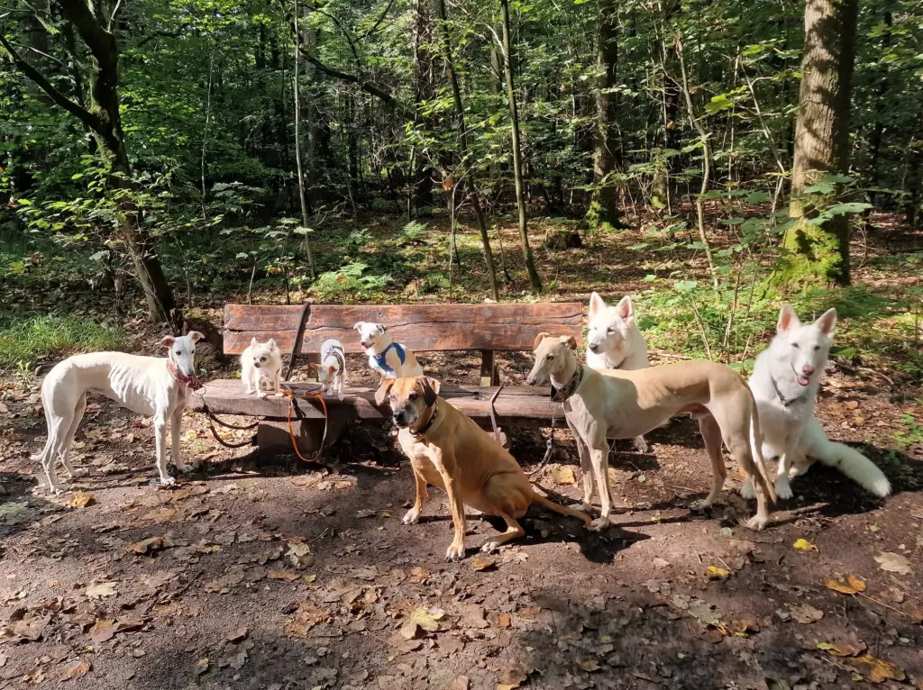 Condolence image of Anja Fischer