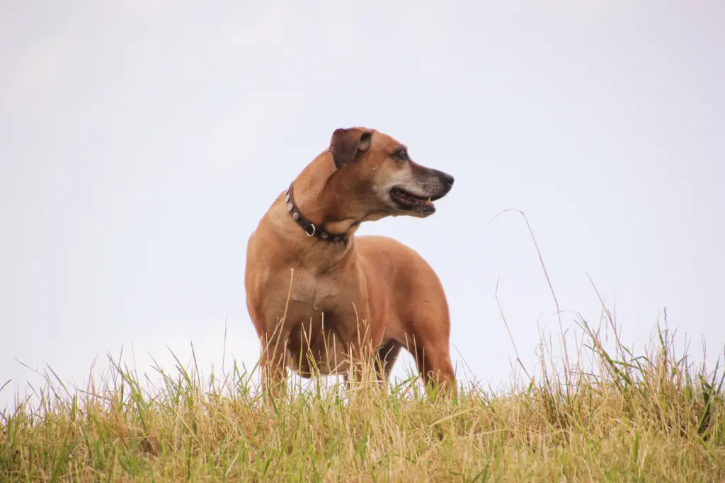 Condolence image of Sabine Heller