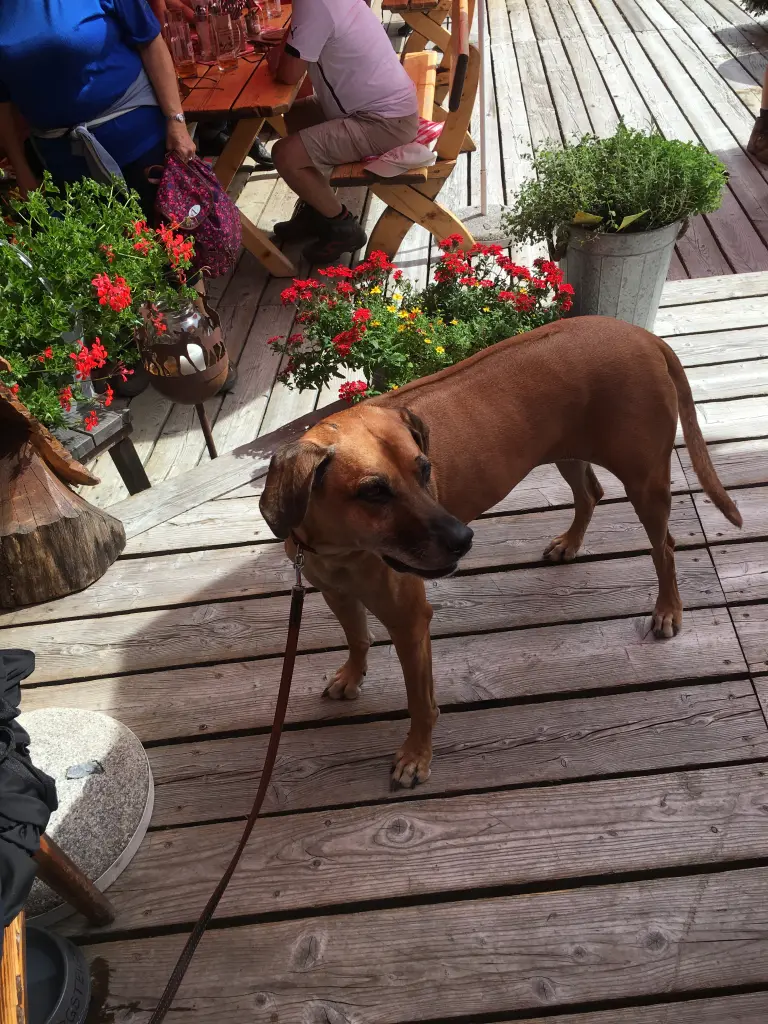 Condolence image of Tanja & Gerwin