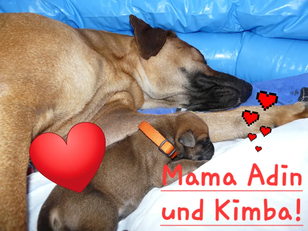 Condolence image of Christine Brands