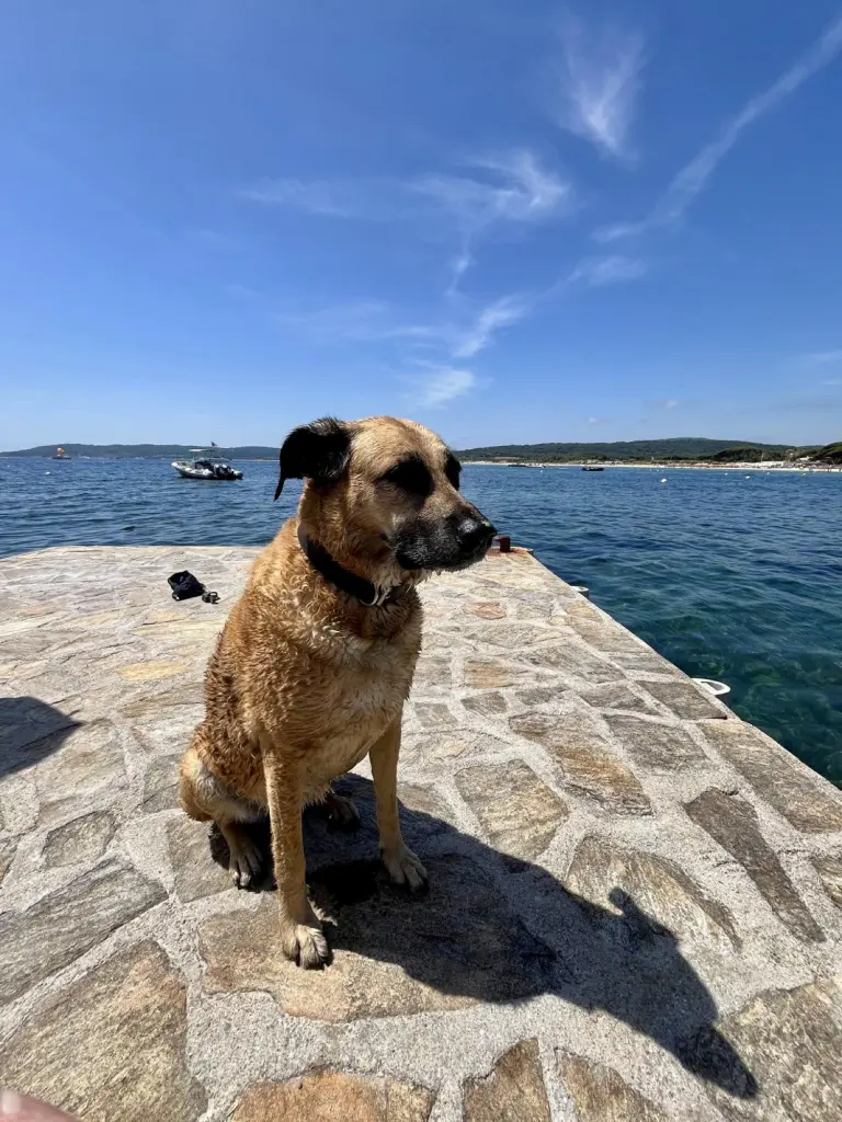 Ich will wieder schwimmen…