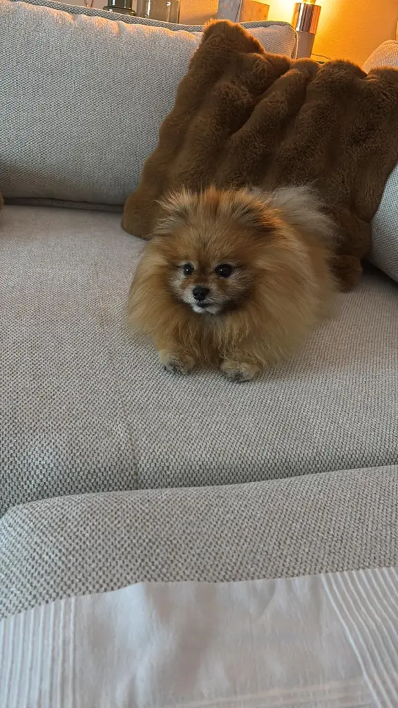 Andachtsbild von Leszek Fatz