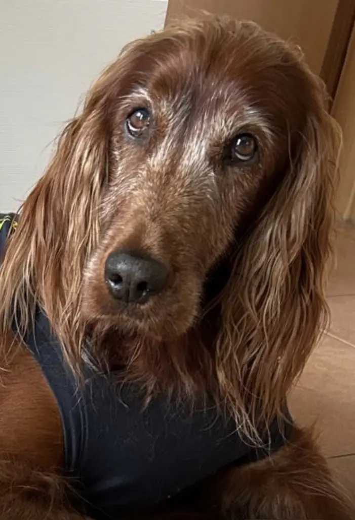 Condolence image of Katja