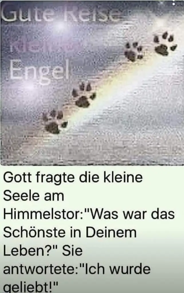 Condolence image of Mila Mit Mitja & Dina im ❤️‍🔥