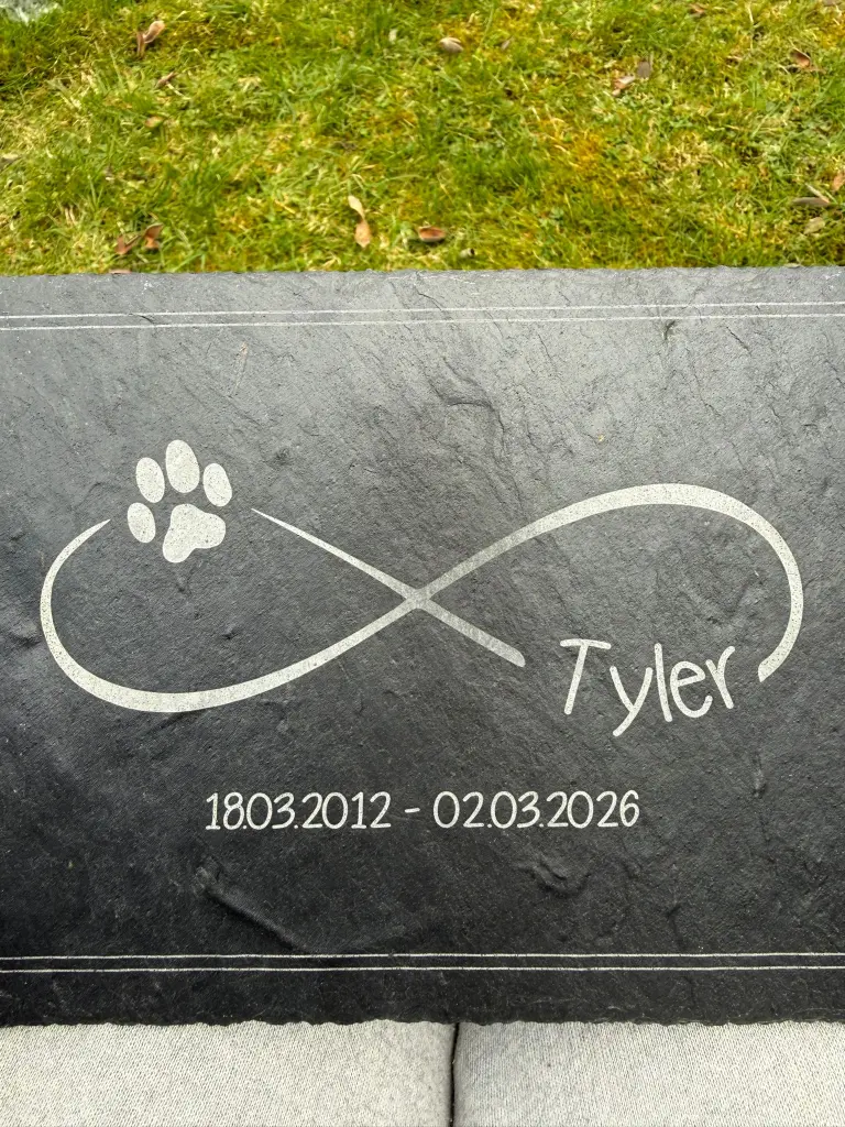 Image from Tyler