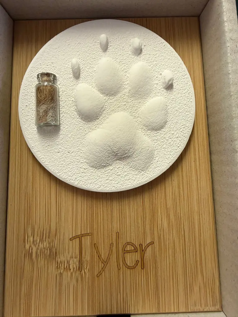 Image from Tyler