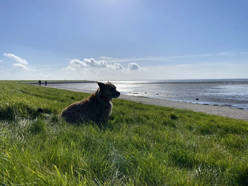 Norderney