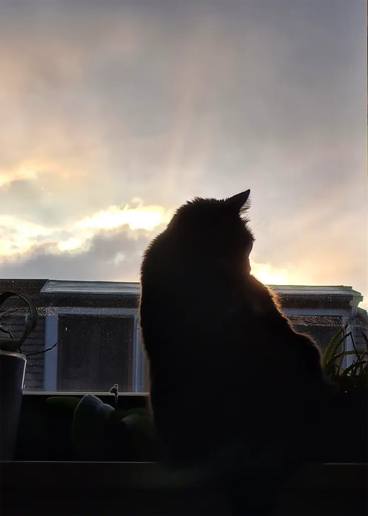 Image from Salem
