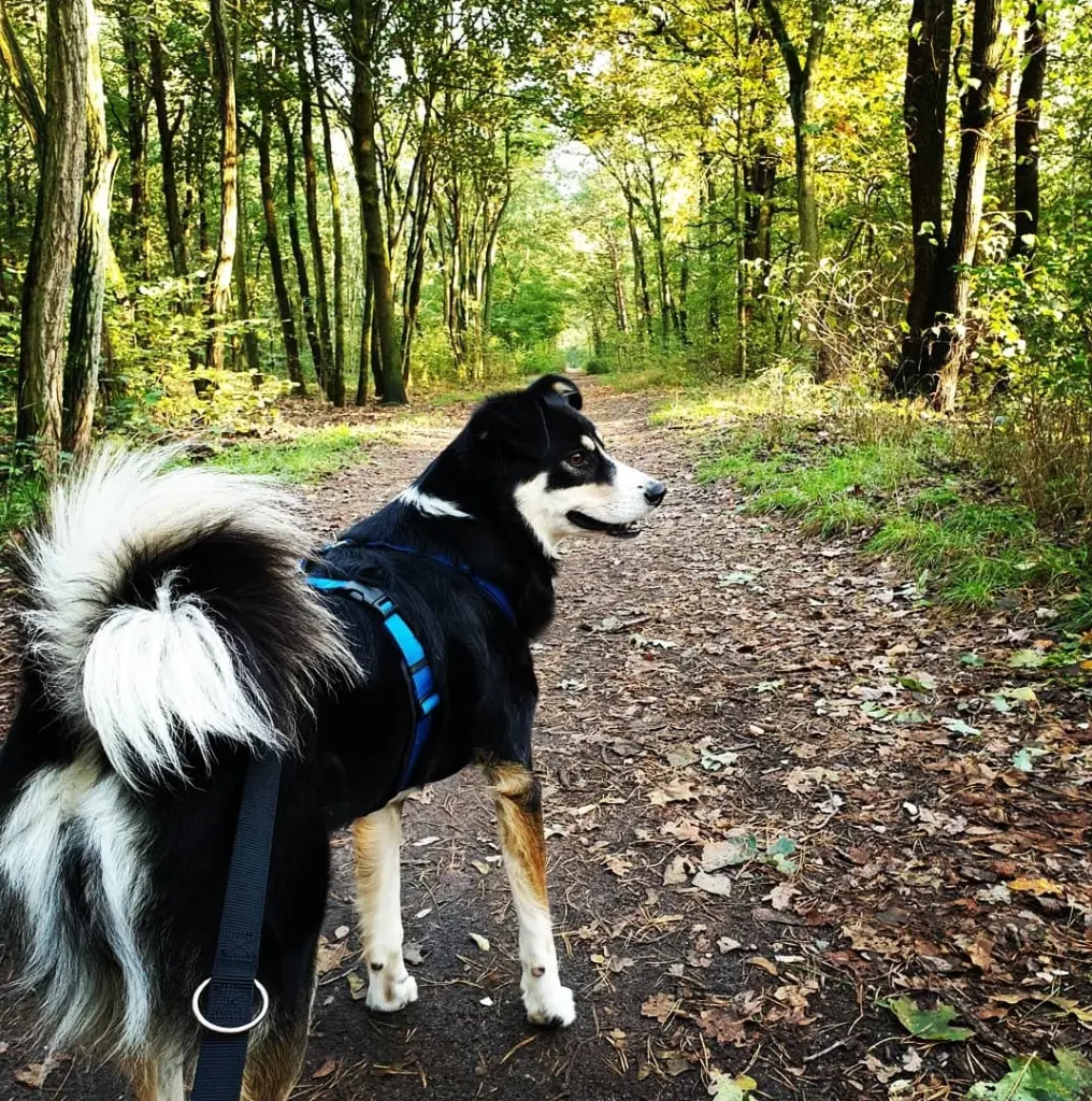 Condolence image of Maria