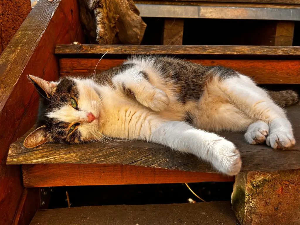 Andachtsbild von Carmen