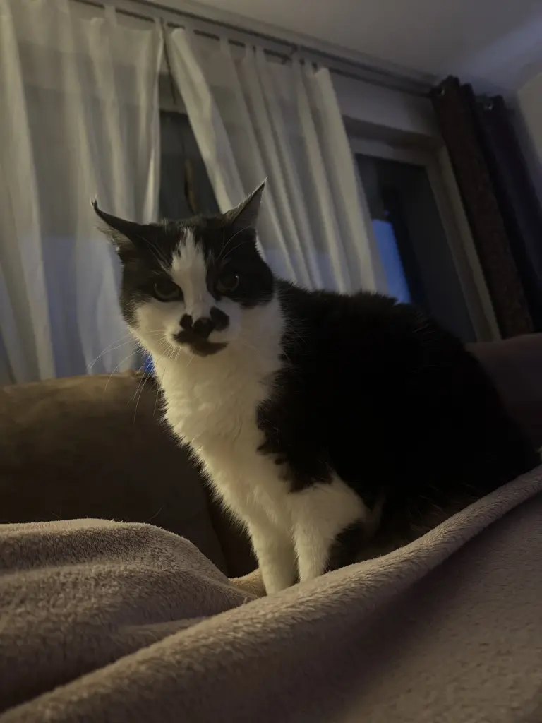 Condolence image of Sina Volkmann