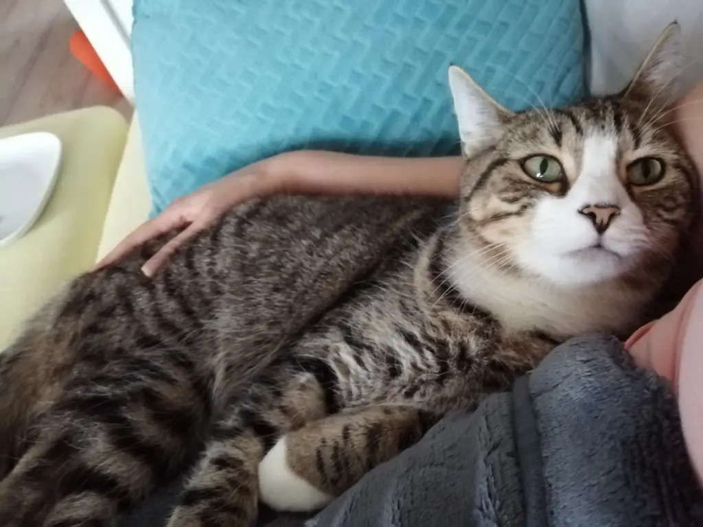 Liebesblicke beim Kuscheln