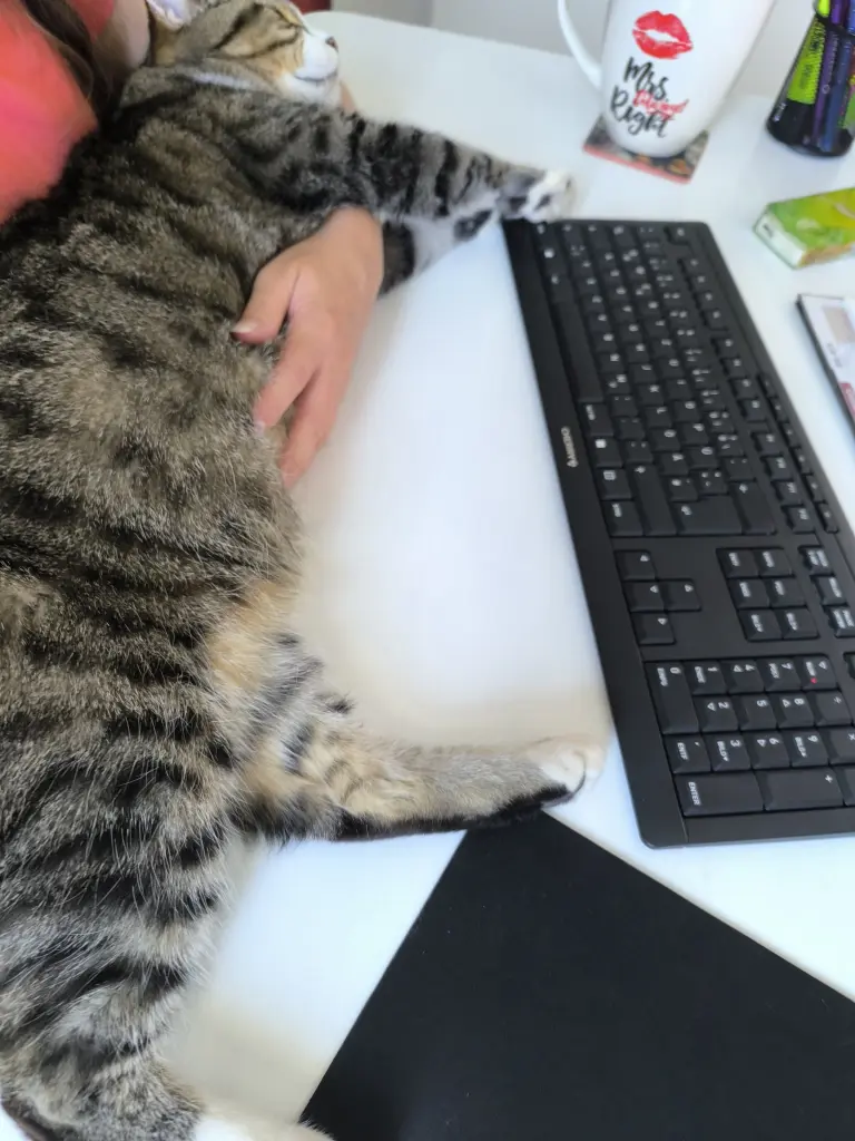 Im Homeoffice immer an meiner Seite