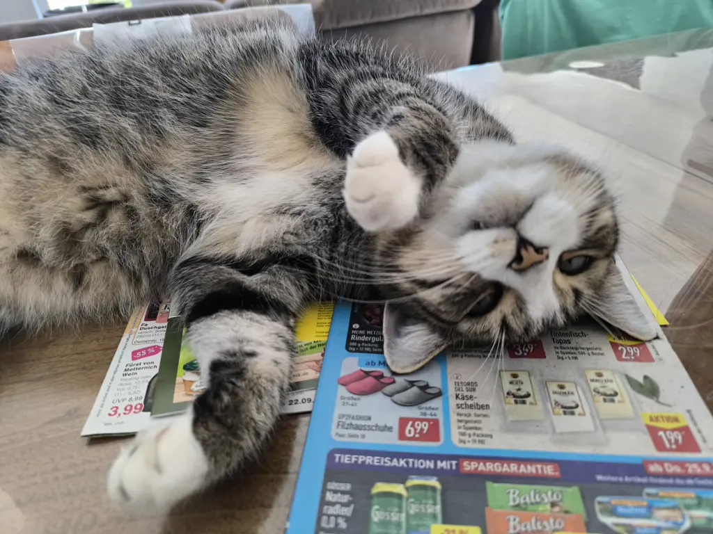 Prospekte sind doch uninteressant, du warst so viel süßer