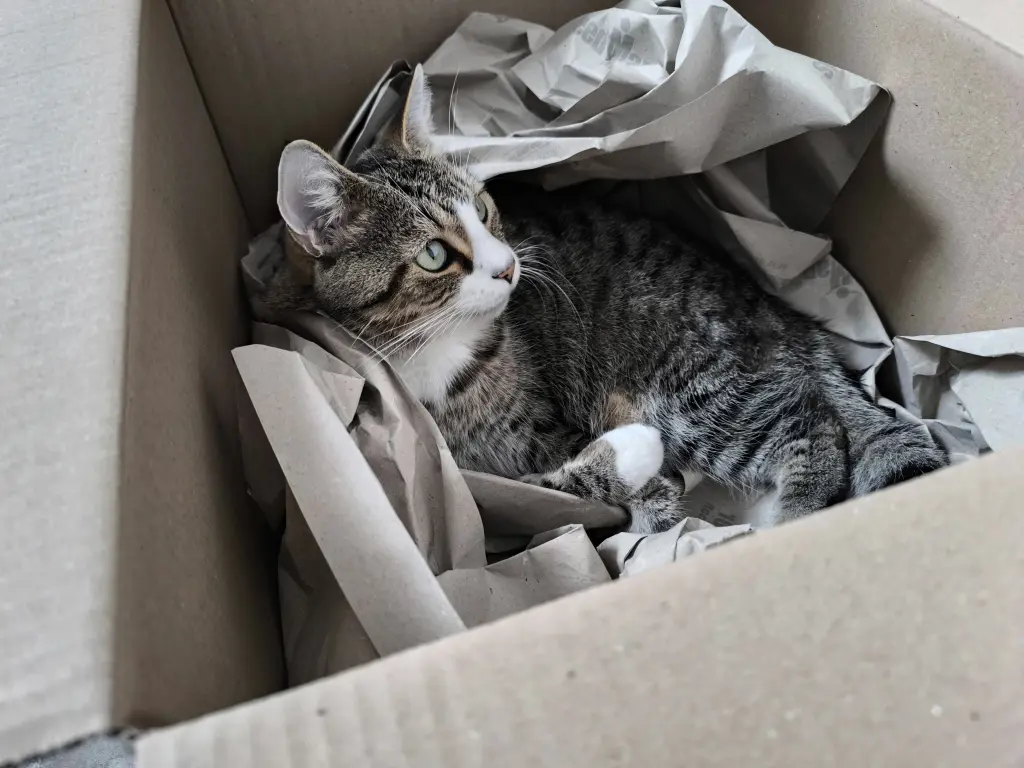 Karton's jeder Größe wurden direkt angeeignet