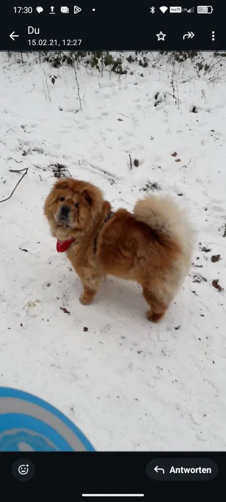 Condolence image of Margitta