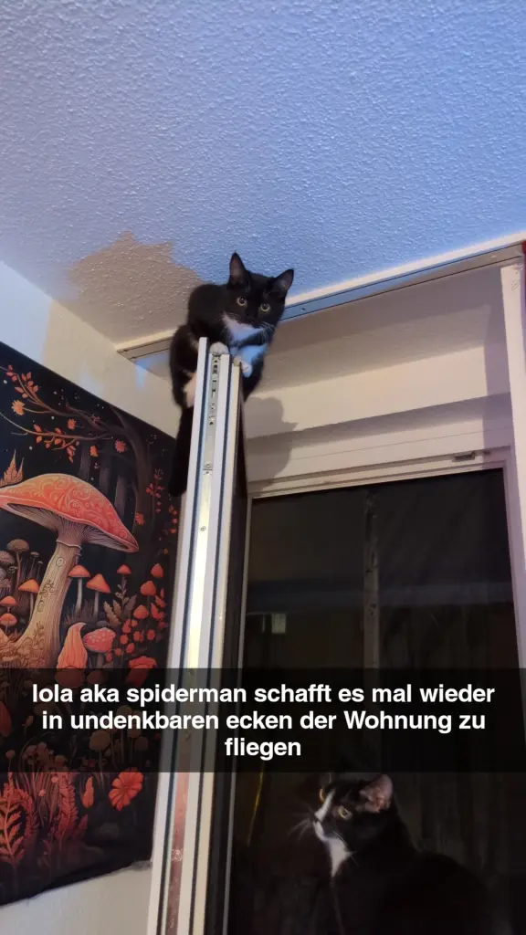 Condolence image of Diego Bove