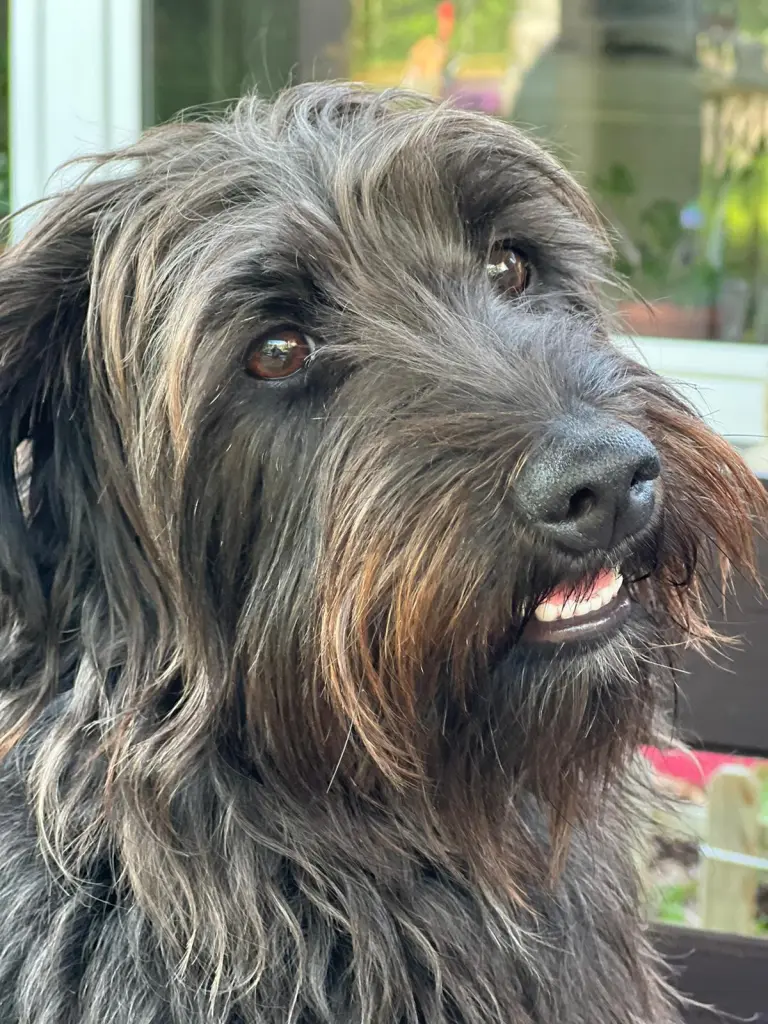 Andachtsbild von Ricky und Andy