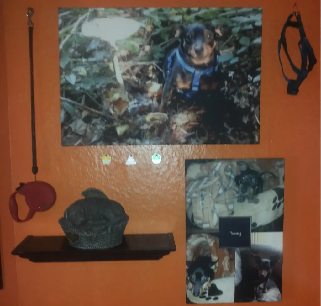 Image from Bobby