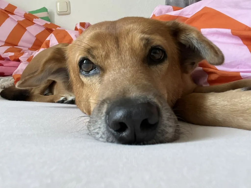 Gemütlichkeit zusammen