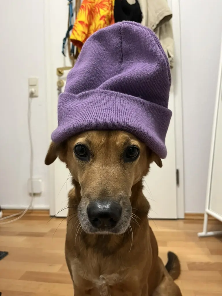 Vorbereitung auf deinen ersten Winter in Deutschland