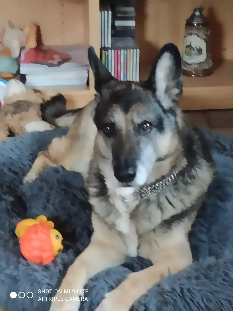 Ben