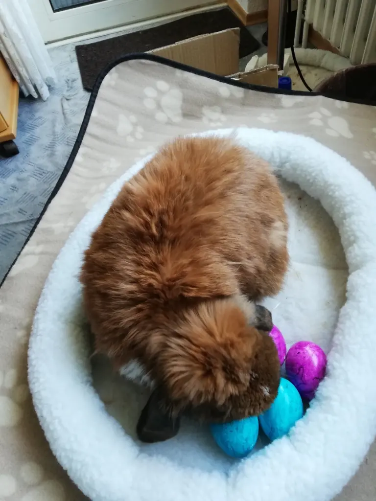 Condolence image of Andrea mit Schnuffi tief im ❤