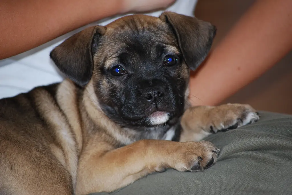 Condolence image of Tove