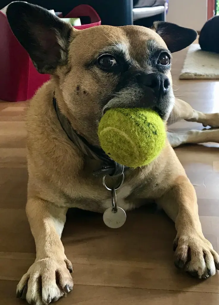 Condolence image of Cornelia Würz