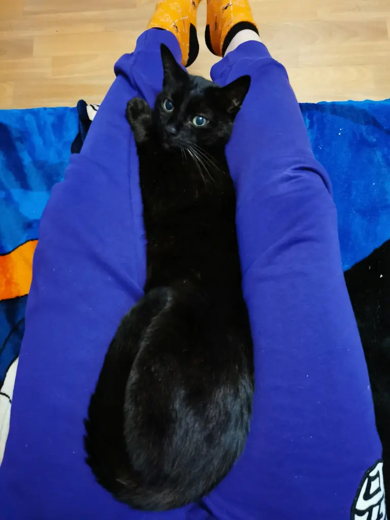 Andachtsbild von Mama Catha