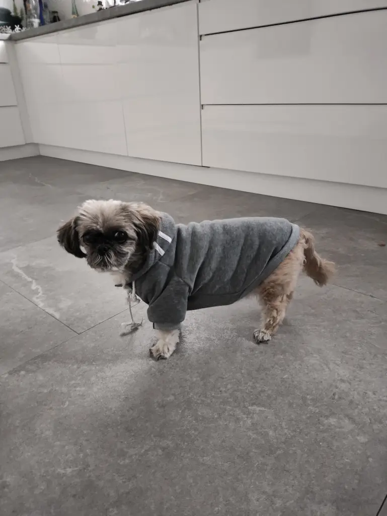 Condolence image of Agnieszka