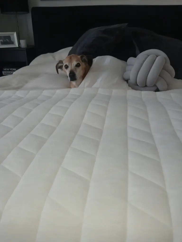Hauptsache im Bett