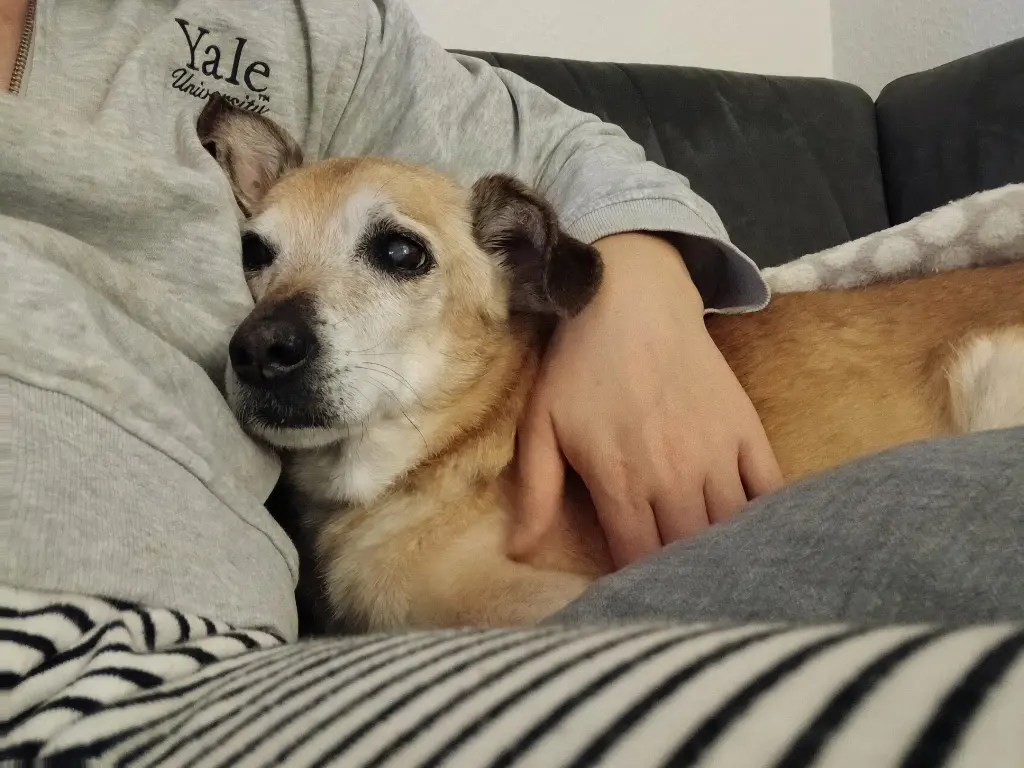 Kuscheln war immer cool