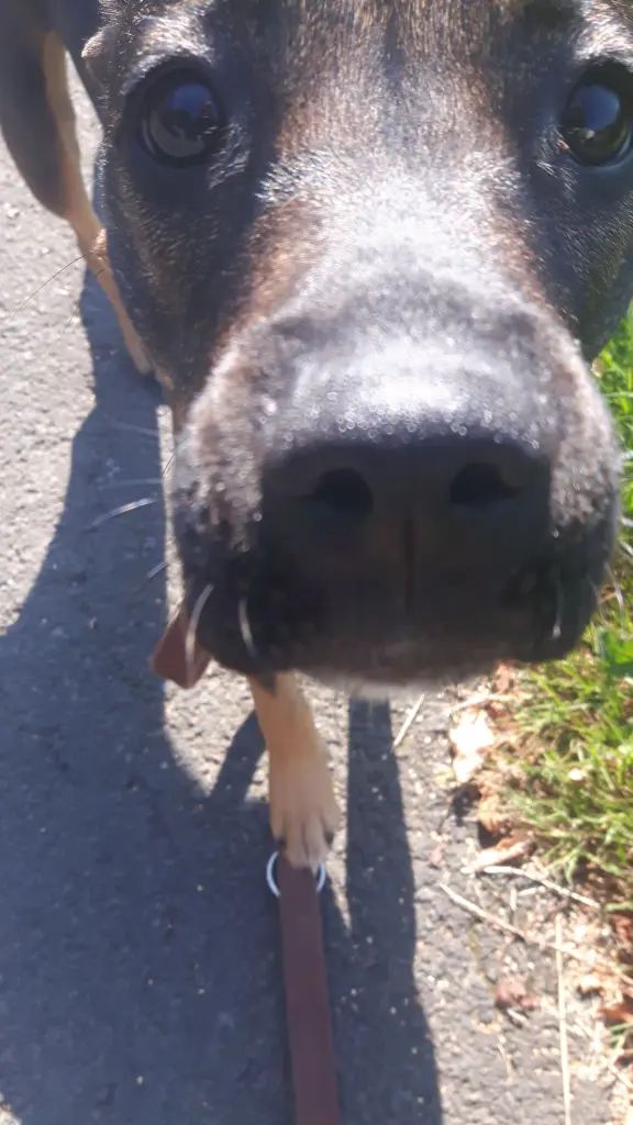 Condolence image of Alexander Spahr