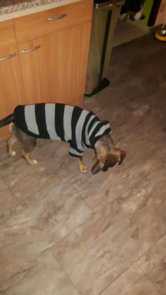 Condolence image of Sandra Wagner