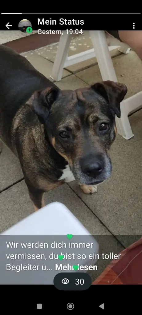 Condolence image of Roy Blanke