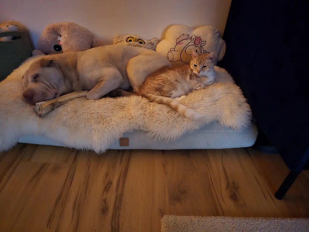 Condolence image of Vanessa