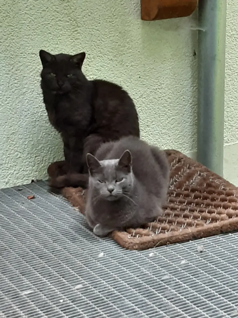 Nelly und Marie