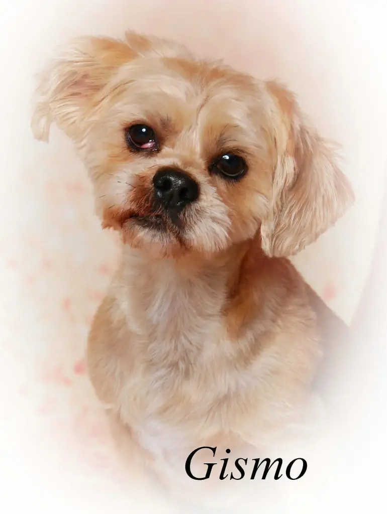 Der treuste Wegbereiter