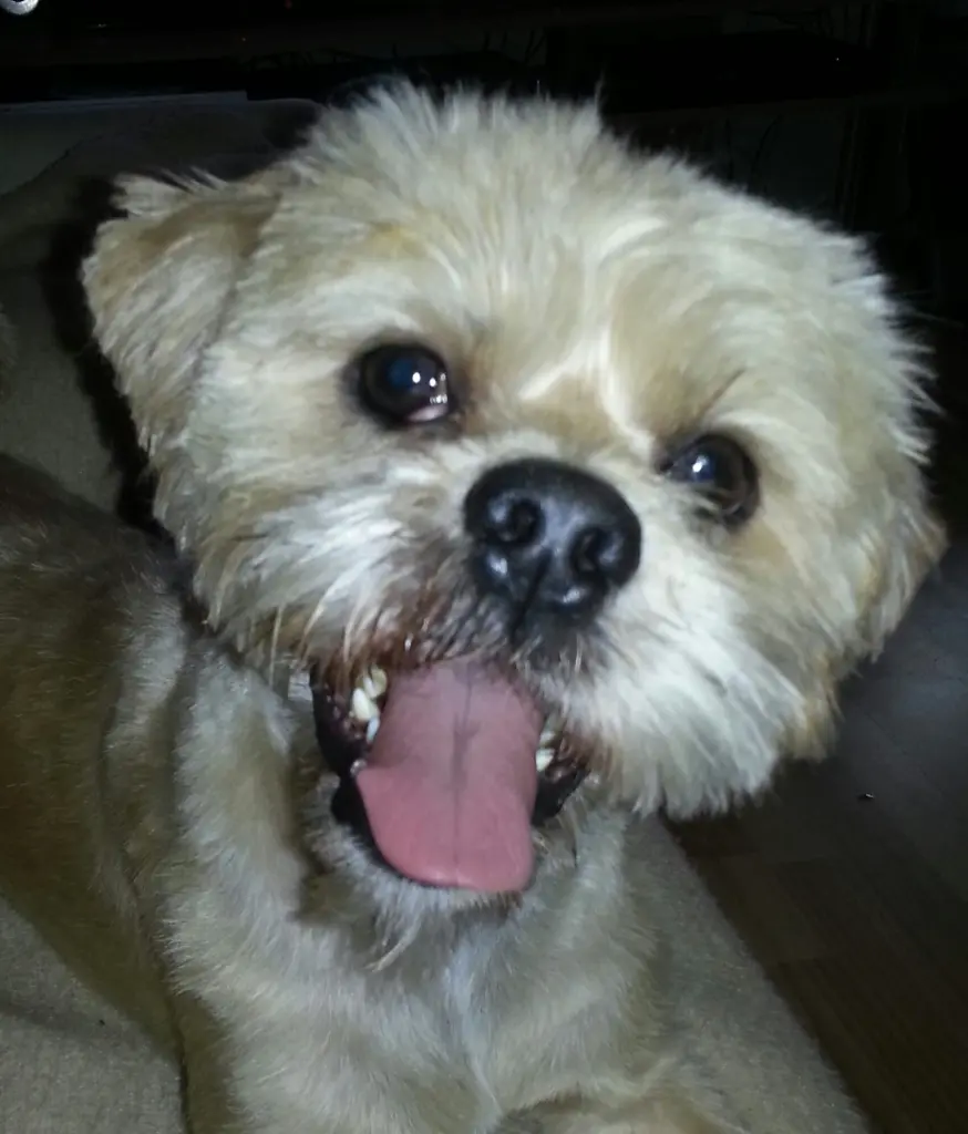 Der Räuber der Herzen