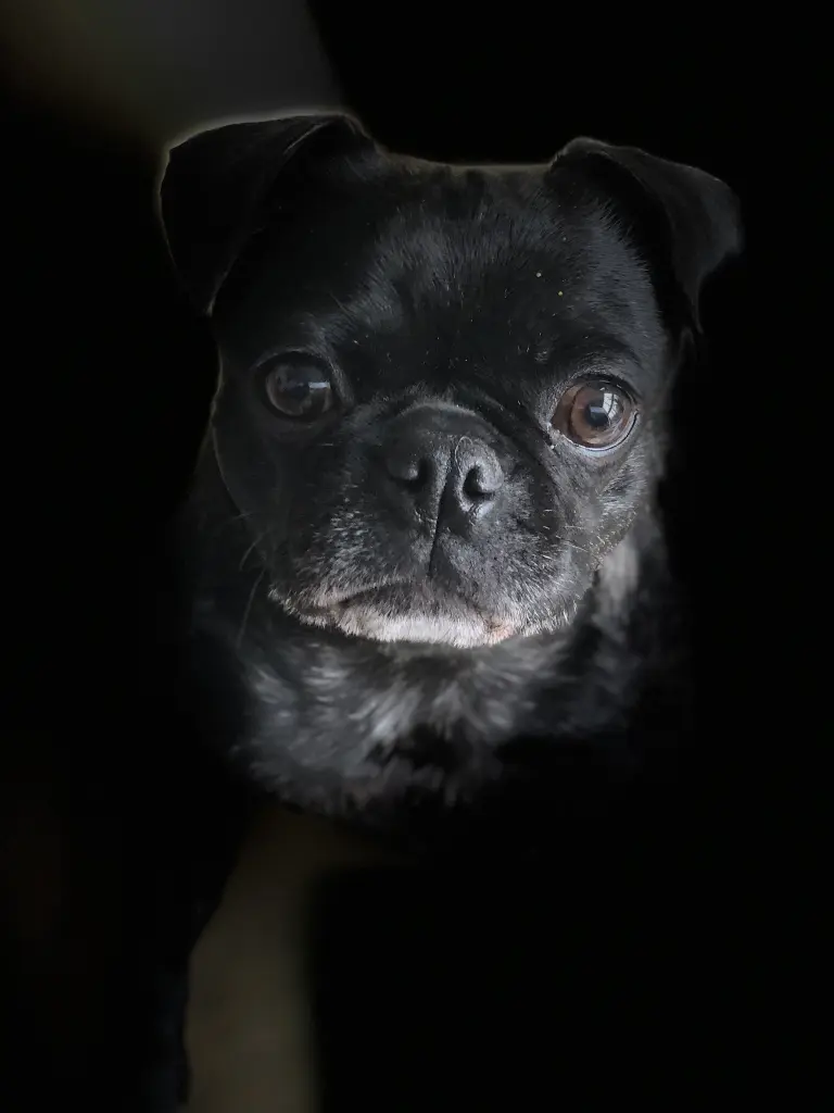 Condolence image of Benny REUTER