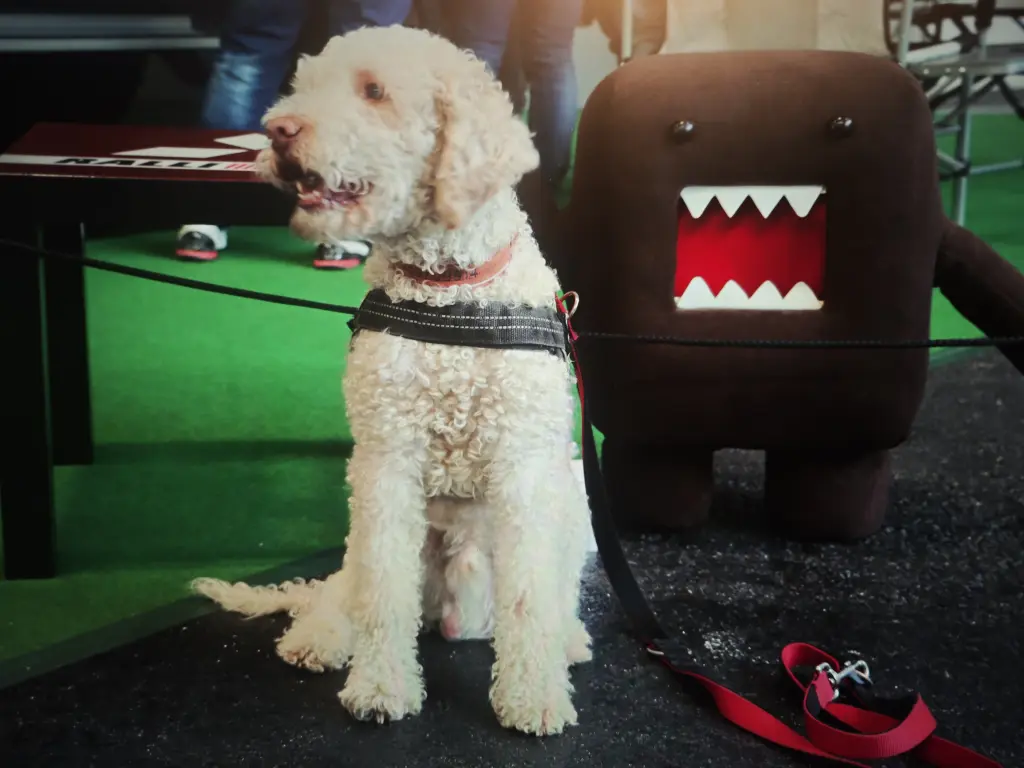 Andachtsbild von Tobias